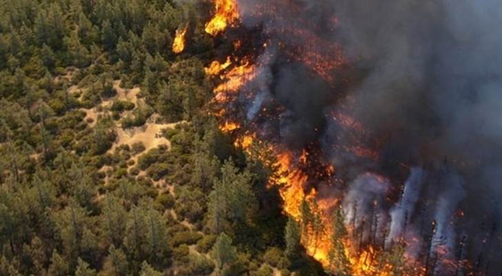 دعوات لتفعيل خطط الطوارئ للحد من الحرائق في عجلون