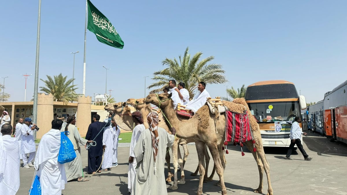 رحلة الحج على الإبل.. استذكارٌ للماضي بمبادرة عاشها 11 ألف حاج يمني في رنية