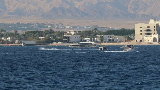 حجوزات أولية تشير لوصول نسب إشغال فنادق العقبة فئة 5 نجوم لـ 88 خلال عيد الأضحى