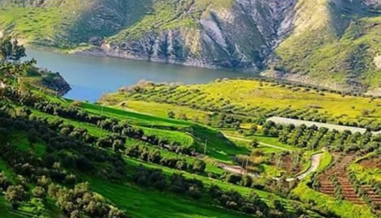 خطة شاملة بالاغوار الشمالية تحضيرا لاستقبال للعيد