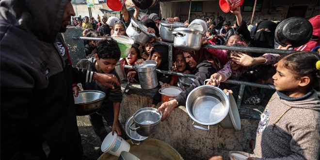 جراء استمرار العدوان الإسرائيلي.. (الفاو) تحذر من خطر انعدام الأمن الغذائي في قطاع غزة