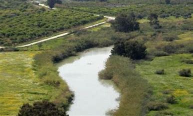 الباقورة تسجل أعلى درجة حرارة على مستوى المملكة اليوم