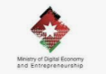 الاقتصاد الرقمي: لقاء مع مديري تكنولوجيا المعلومات في الوزارات