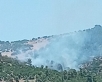 اندلاع حريق أشجار في منطقة الصفصافة الحرجية بمحافظة عجلون