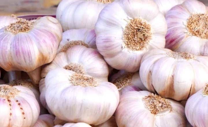 250 قرش سعر كيلو الثوم في السوق المركزي