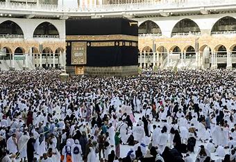 وفاة أكثر من 900 حاج وحاجة ومواصلة البحث عن المفقودين