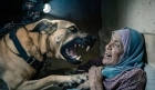الأمم المتحدة: استخدام الاحتلال الكلاب ضد المعتقلين الفلسطينيين يشكل انتهاكاً خطيراً للقانون الدولي