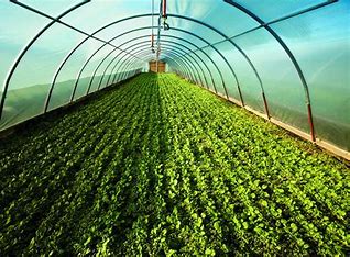 زراعة الكورة تعقد الجلسة الرابعة من مشروع المدارس الحقلية