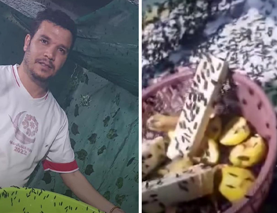 ديدان مصدر رزق لشاب أردني