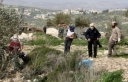 مستوطنون متطرفون يعتدون على ممتلكات الفلسطينيين بنابلس