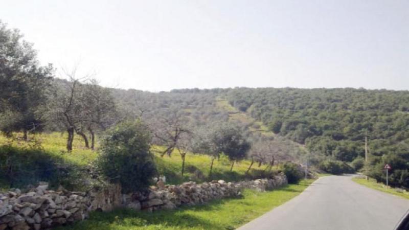 حملة للعناية بالمناطق السياحية في برقش