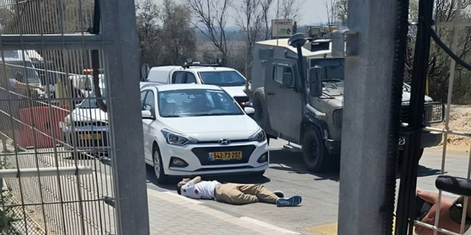 قوات الاحتلال تقتل ناشطاً كندياً رافضاً لحرب الإبادة على غزة