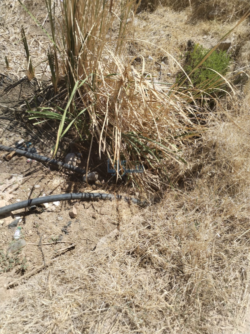 شكاوي من سوء احد الشوارع في جرش بسبب مياه الصرف الصحي