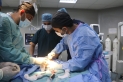 المستشفى الميداني الأردني غزة 79 يجري عملية جراحية لطفل رضيع_صور