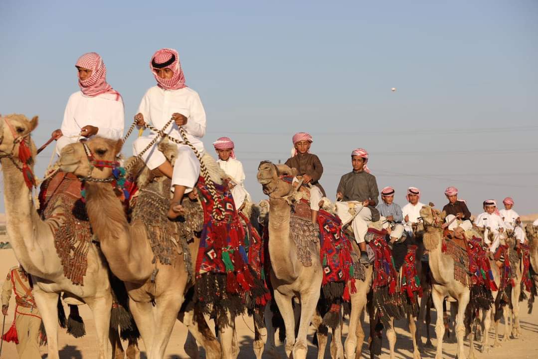 تخريج دورات ركوب الهجن في لواء الحسا...صور