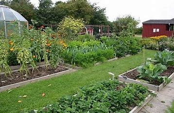 دورات زراعية في بلدية رابية الكورة لتمكين المرأة