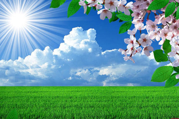 طقس صيفي عادي في اغلب المناطق اليوم