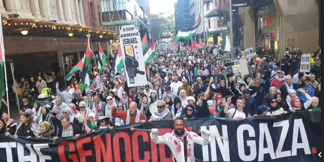 ProPalestinians protests in Sydney condemning Israeli massacres in Gaza