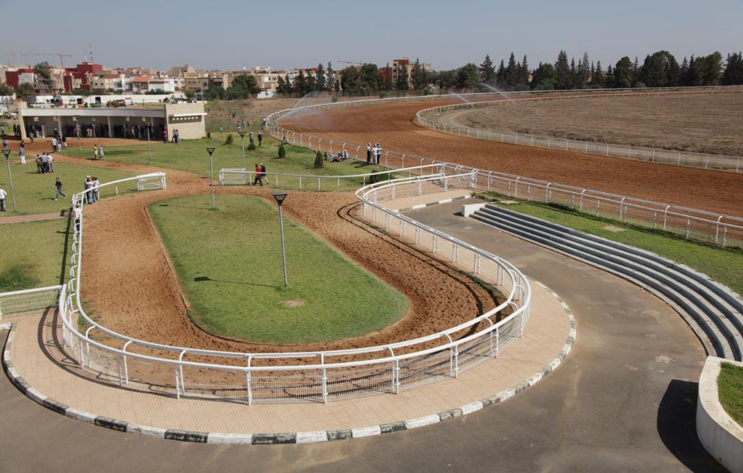 شبان من البادية الوسطى يطالبون بانشاء مضمارا خاصا لسباق الخيل