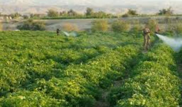 الحكومة تنهي العمل بمستهدفات محور الاقتصاد الأخضر