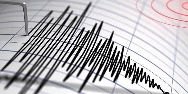 زلزال بقوة 4.6 درجات يضرب شرق إندونيسيا