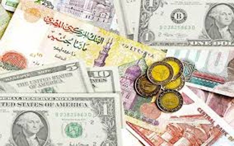 سعر الدولار اليوم في مصر الجمعة 13 سبتمبر 2024