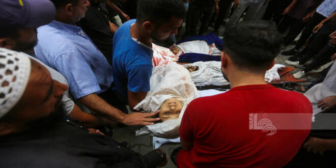 Eight martyrs in Israeli occupation bombing on Gaza Strip