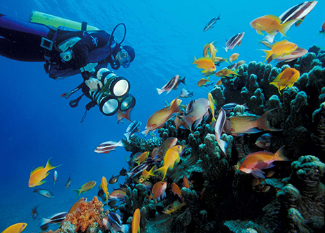 أمين عام وزارة السياحة والآثار : الأردن قدم ملف محمية العقبة لإدراجها على لائحة التراث العالمي