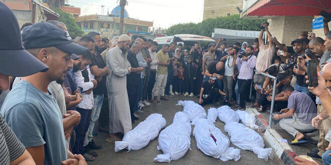 7 martyrs and a number of wounded in occupation bombing a school sheltering displaced people in Gaza