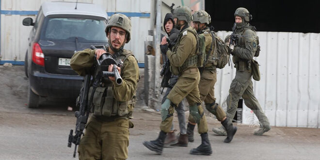 Occupation forces arrest 13 Palestinians in the West Bank