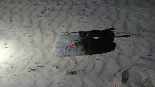 عاجل ..القوات المسلحة تحبط محاولة تهريب مخدرات بواسطة طائرة مسيّرة