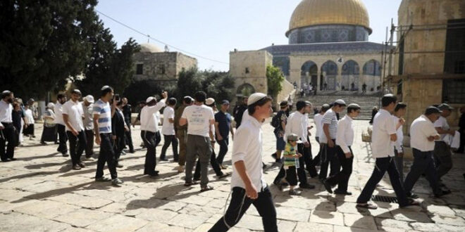 More than 400 settlers storm AlAqsa Mosque