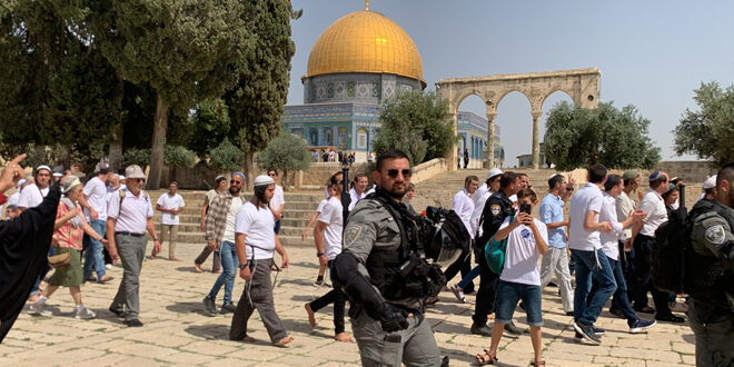 More than 500 settlers break into AlAqsa mosque