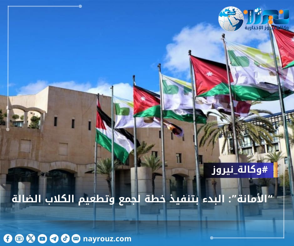 “الأمانة”: البدء بتنفيذ خطة لجمع وتطعيم الكلاب الضالة