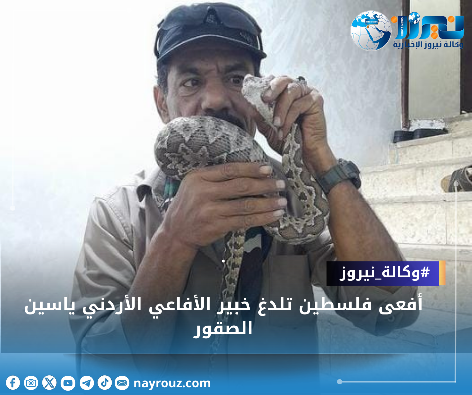 أفعى فلسطين تلدغ خبير الأفاعي الأردني ياسين الصقور