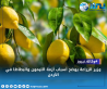 وزير الزراعة يوضح أسباب أزمة الليمون والبطاطا في الأردن