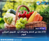 2719 طنا من الخضار والفواكه ترد  للسوق المركزي اليوم