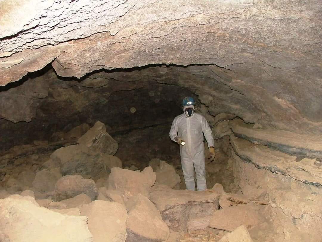 البروفيسور الملاعبة يسجل اكتشافات جديدا في بلدة سمر الكفارات في لواء بني كنانة