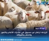 الزراعة: ارتفاع غير مسبوق في صادرات الأغنام والتمور والخضار والفواكه