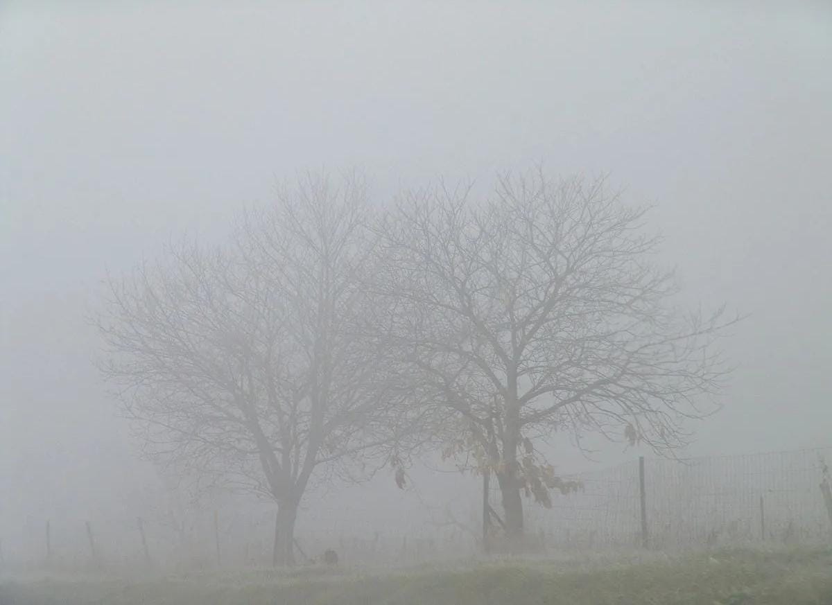 الأرصاد تحذر من تدني مدى الرؤية الأفقية بسبب الضباب