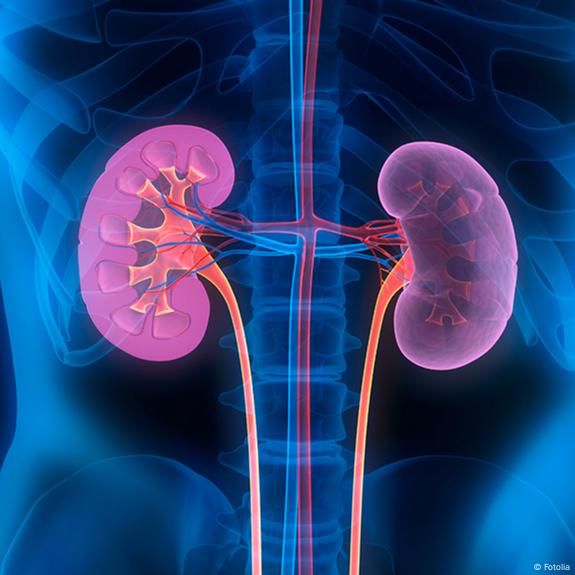 Enhancing Awareness of Early CKD Screening and Kidney Health Management in AtRisk Communities