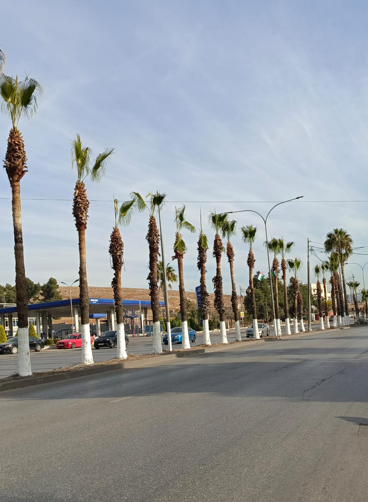 طقس لطيف في اغلب المناطق حتى الخميس