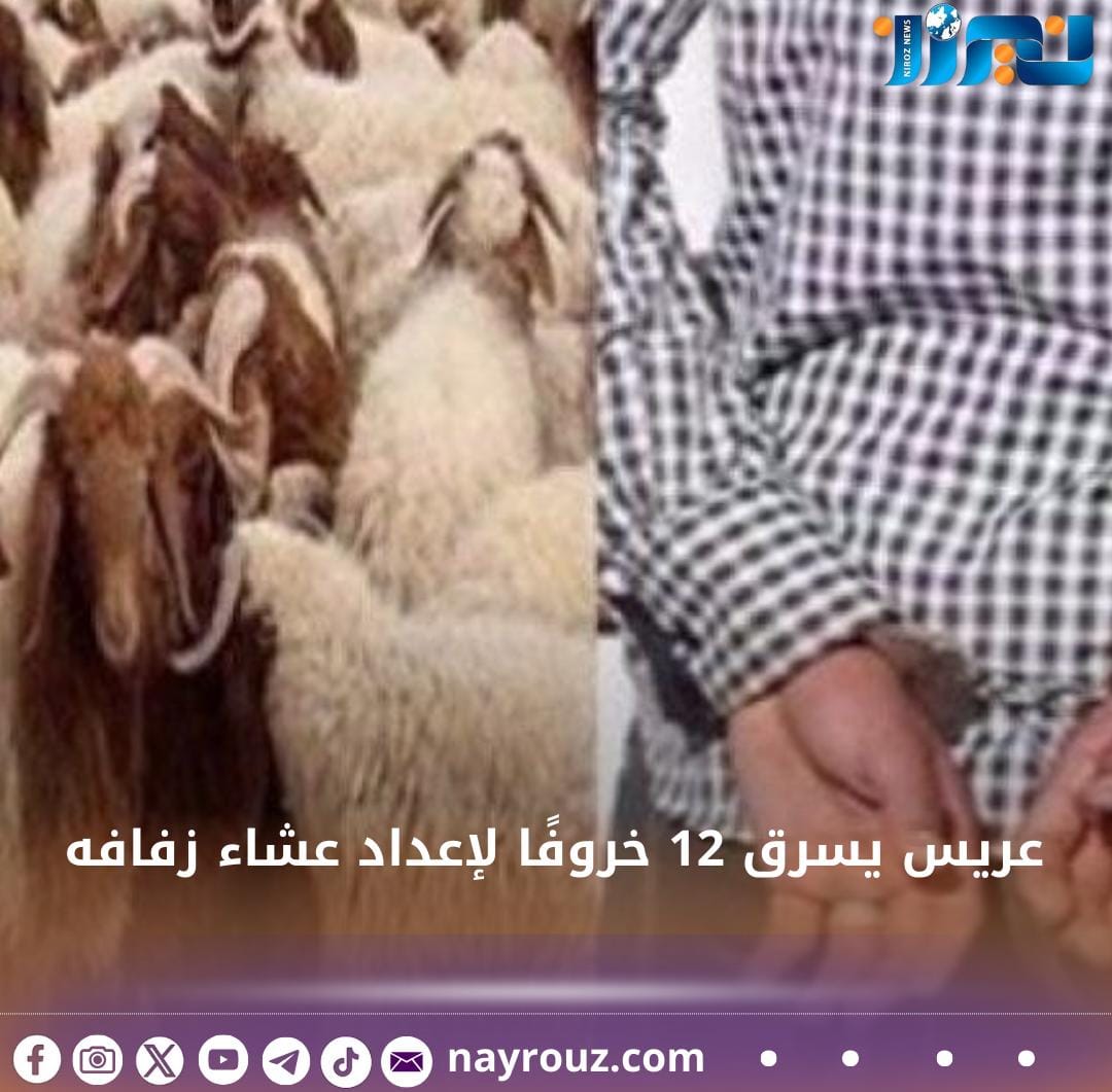 عريس يسرق 12 خروفًا لإعداد عشاء زفافه