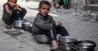 أزمة غزة.. الفلسطينيون يلجأون إلى لحم السلاحف في ظل نقص الغذاء