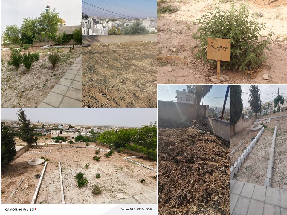 حديقة الأمل في كفرجايز: ثمرة إبداع مبادرة سُنبلة وروح العطاء المجتمعي