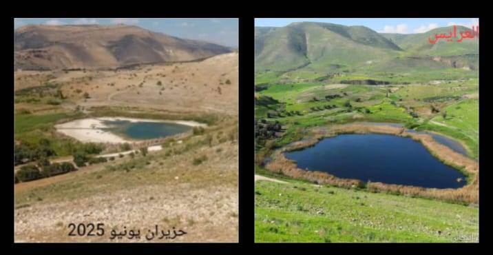 بركة العرايس... إرث طبيعي يحتضر في صمت.. الطبيعة تنادي... فهل من مجيب؟