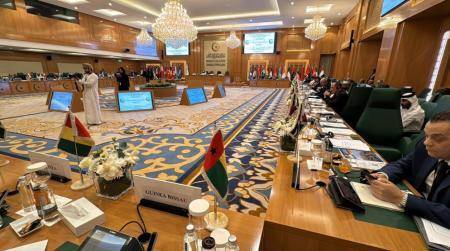 الأردن يشارك باجتماع استثنائي في جدة بشأن فلسطين