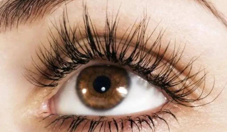 نصائح لزيادة نمو الرموش وحمايتها من التساقط بشكل طبيعي