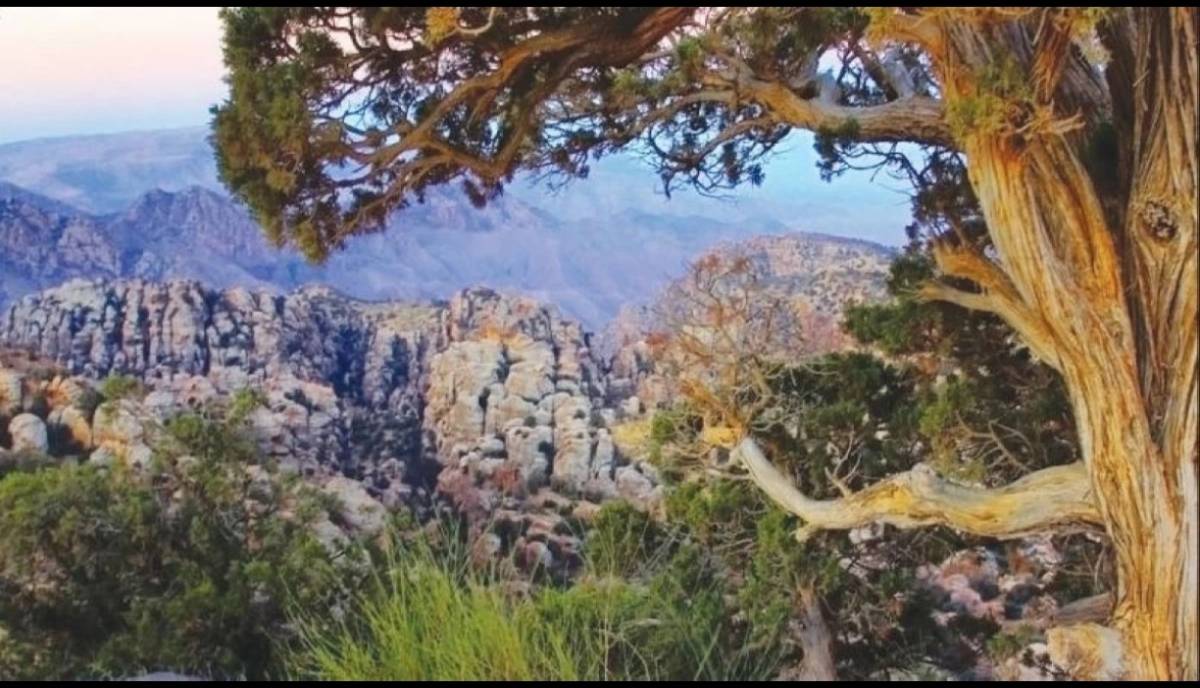 أجواء مثالية للرحلات الجمعة وهذه أنسب 10 أماكن