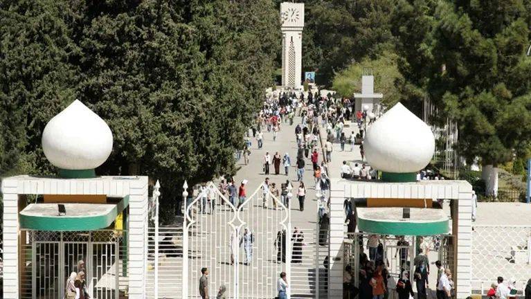 العقاربة تكتب :عودة الجامعات انطلاقة نحو المعرفة وصناعة المستقبل.